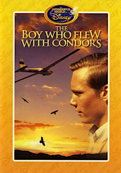 Movie poster for The Boy Who Flew with Condors (1967)
