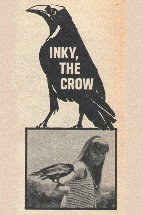 Movie poster for Inky, the Crow (1969)