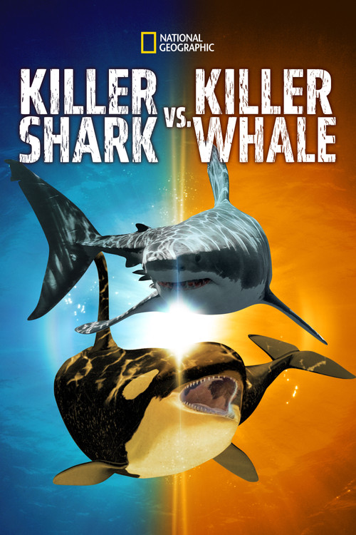 Movie poster for Killer Shark Vs. Killer Whale (2021)