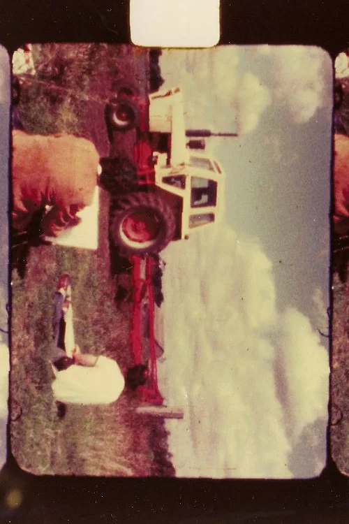 Movie poster for Landscape (1977)