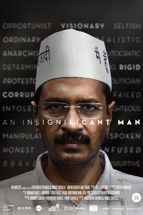 Movie poster for An Insignificant Man (2016)