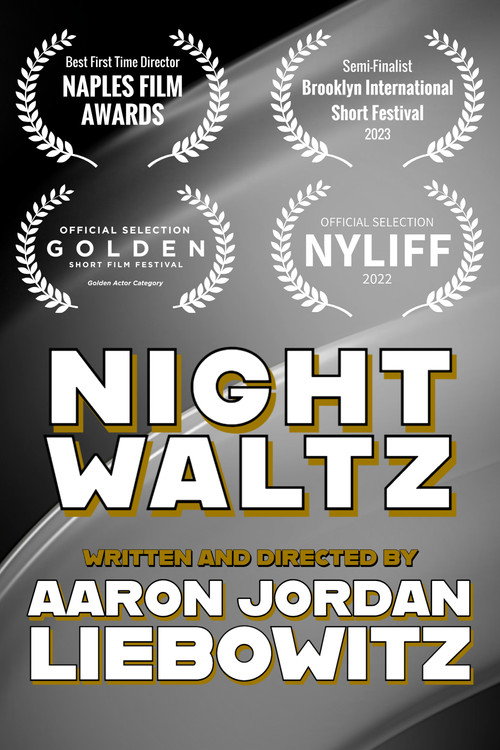 Movie poster for Night Waltz (2022)