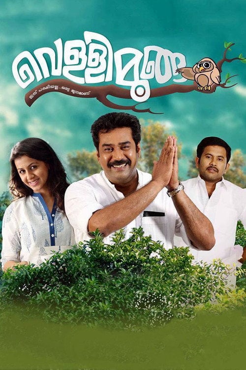 Movie poster for Vellimoonga (2014)