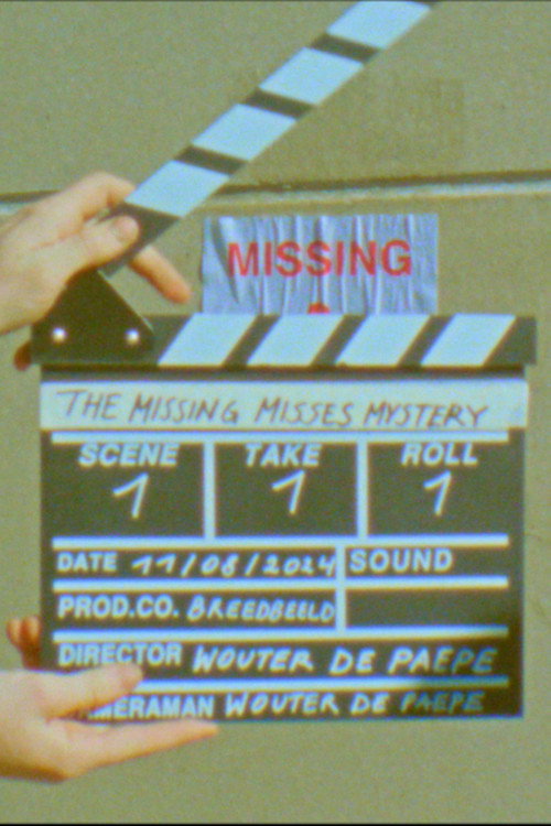 Movie poster for The Missing Misses Mystery (2024)