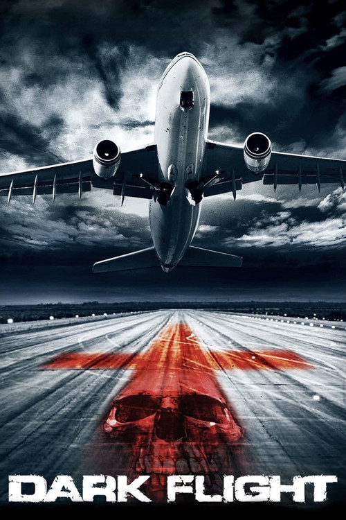 Movie poster for 407 Dark Flight (2012)