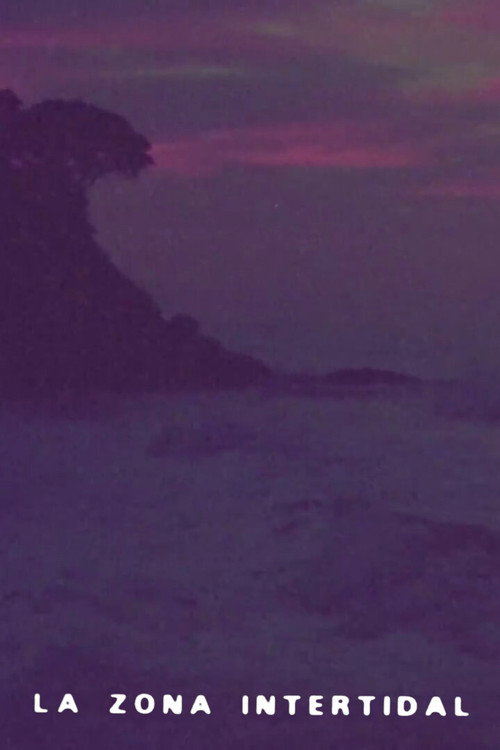 Movie poster for Intertidal Zone (1980)