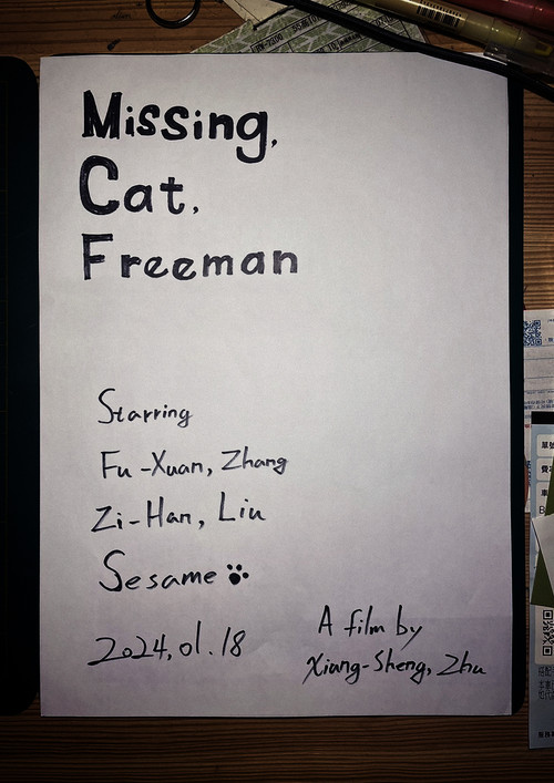 Movie poster for Missing, Cat, Freeman (2024)