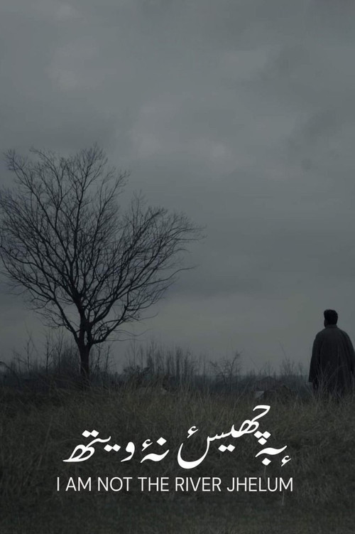 Movie poster for I'm Not The River Jhelum (2021)