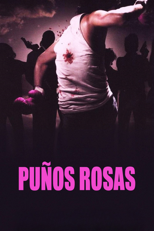 Movie poster for Pink Punch (2004)