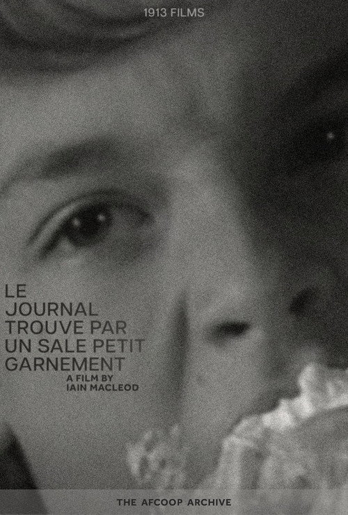 Movie poster for The Diary Found By A Nasty Kid (1999)