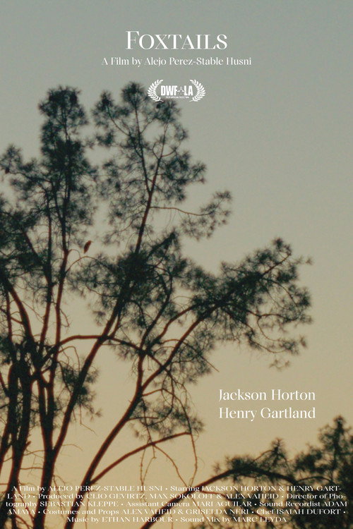 Movie poster for Foxtails (2025)