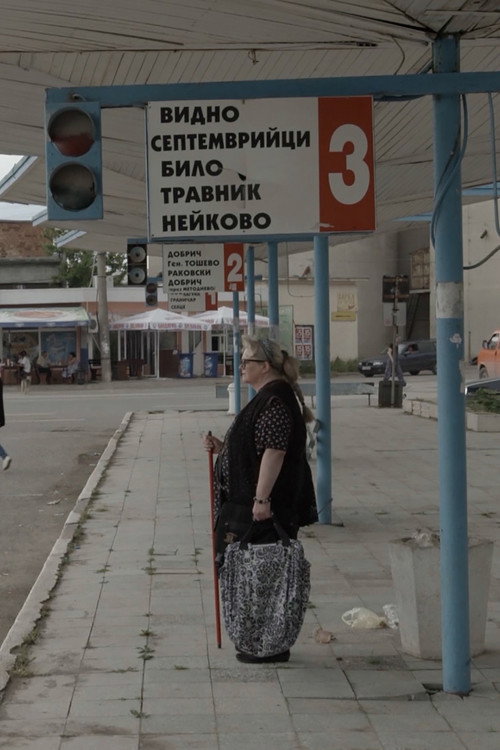 Movie poster for Bulgarian Dream (2020)