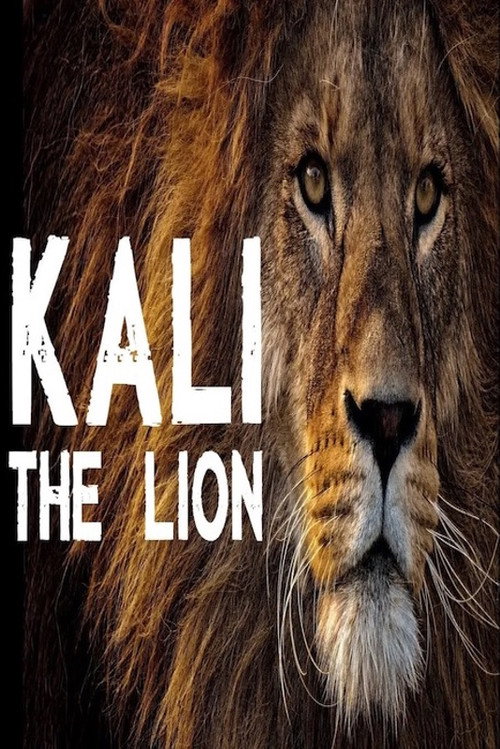 Movie poster for Kali the Lion