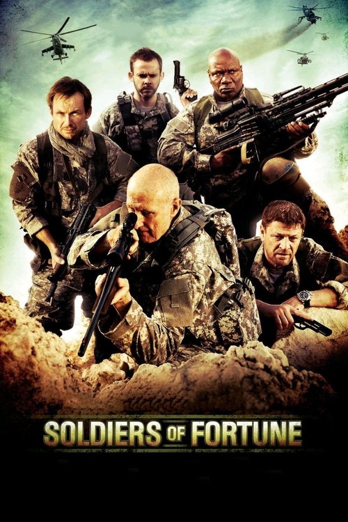 Movie poster for Soldiers of Fortune (2012)