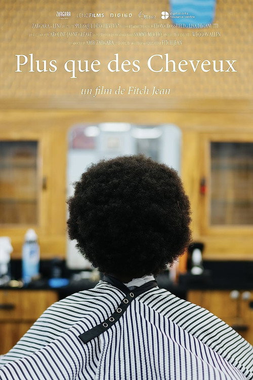 Movie poster for More than Hair