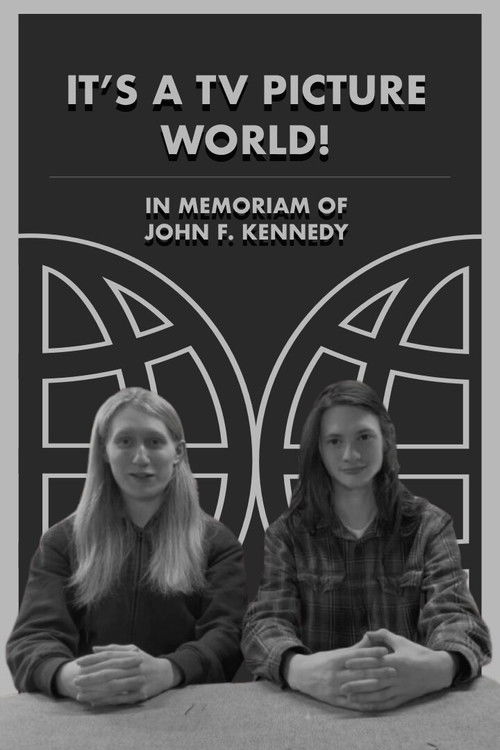 Movie poster for It's a TV Picture World! (2025)