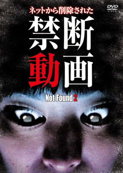 Movie poster for Not Found 2 (2011)