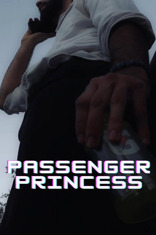 Movie poster for Passenger Princess (2024)