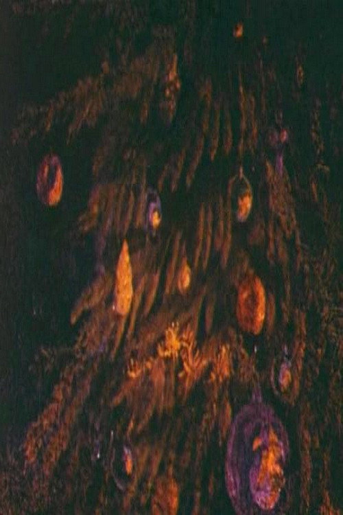 Movie poster for Glare (1981)