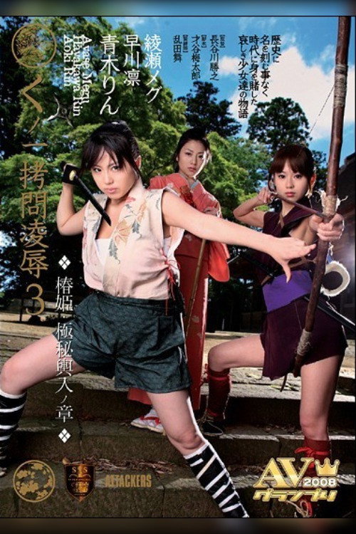 Movie poster for Princess Insult 3 - Secret of the Entrant (2007)