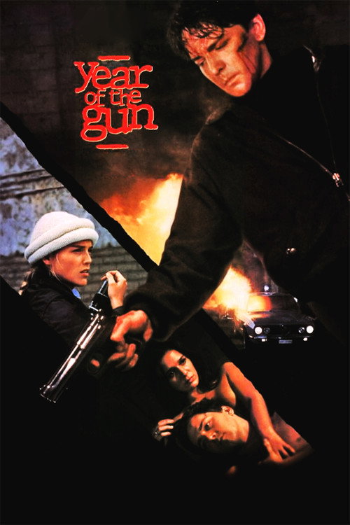 Movie poster for Year of the Gun (1991)