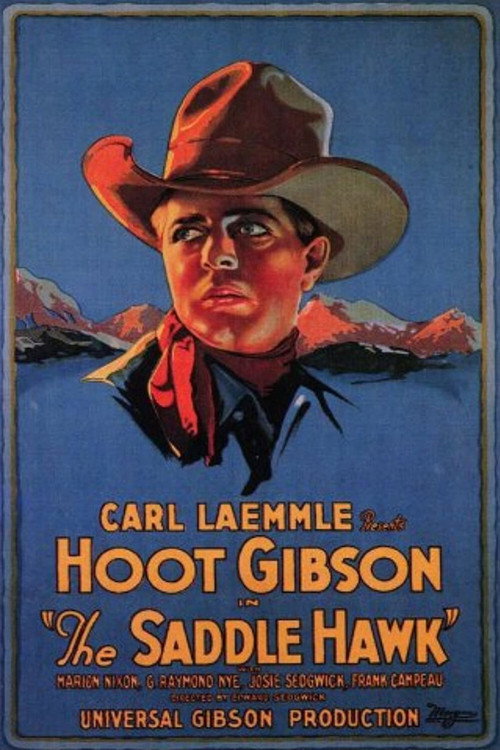 Movie poster for The Saddle Hawk (1925)