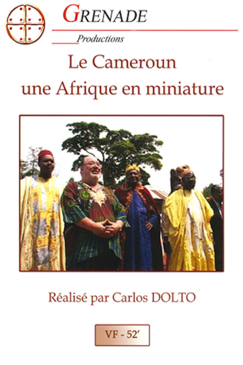 Movie poster for Le Gros Homme et la mer - Carlos au Cameroun (2004)
