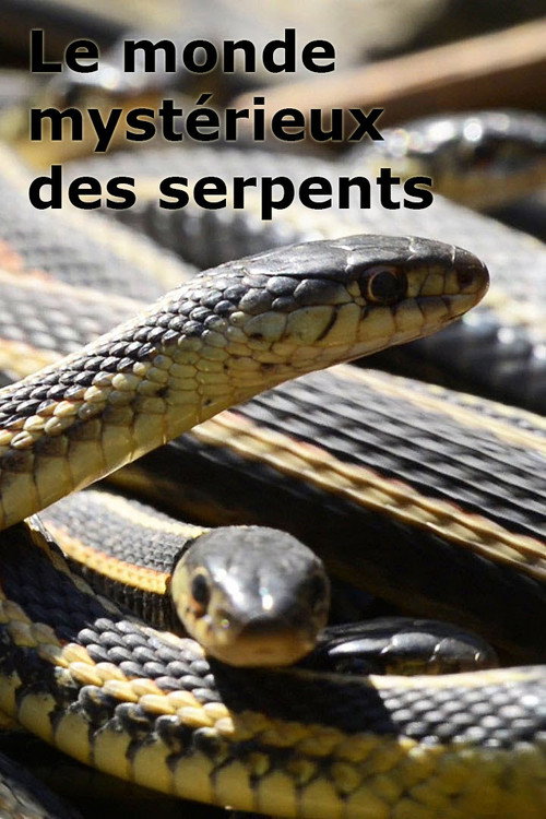 Movie poster for Le monde mystérieux des serpents (2015)