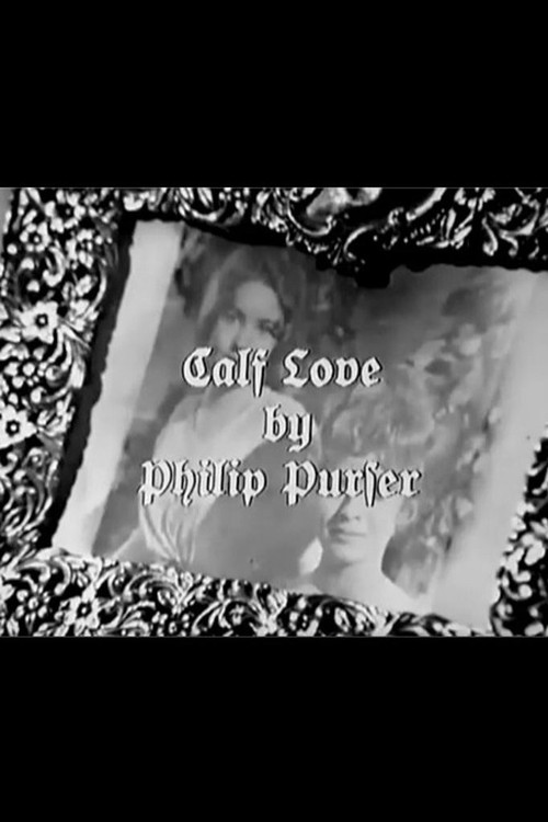 Movie poster for Calf Love (1966)