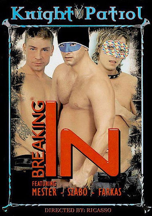 Movie poster for Breaking In (2007)