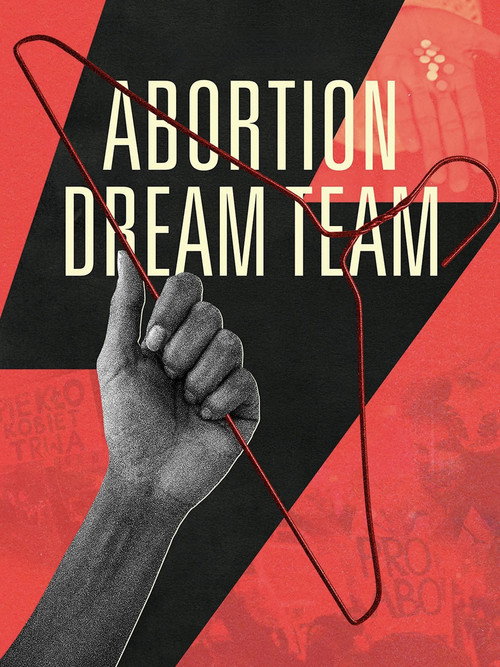 Movie poster for Abortion Dream Team (2024)