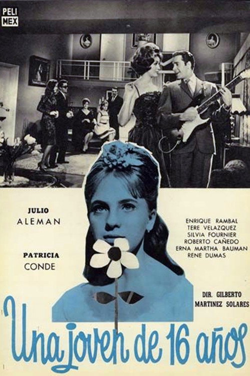 Movie poster for A 16 Year Old Young-Woman (1963)
