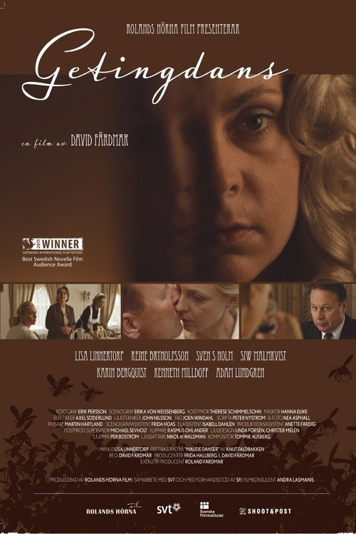 Movie poster for Getingdans (2011)