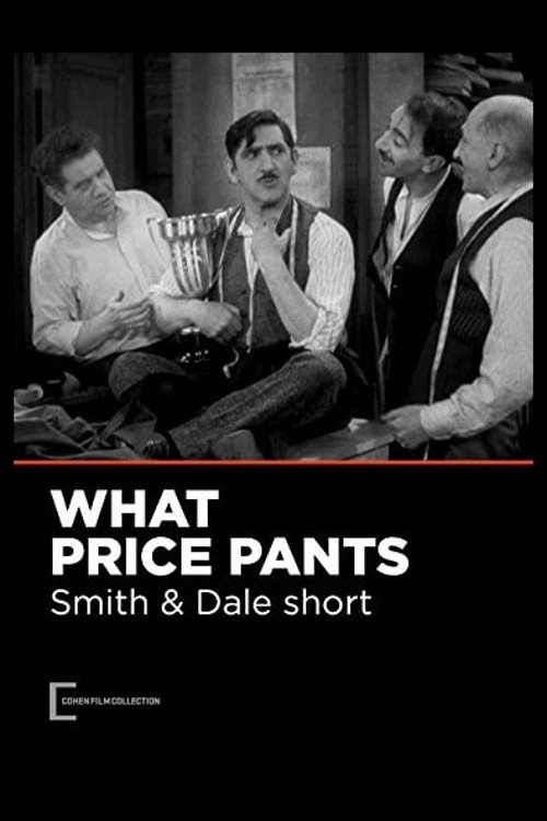Movie poster for What Price Pants (1931)