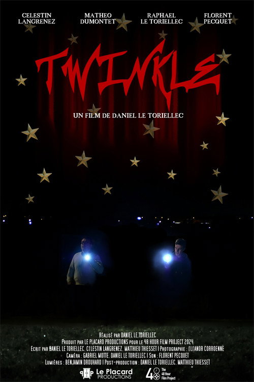 Movie poster for Twinkle (2024)