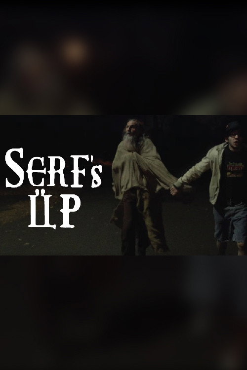 Movie poster for Serf's Up (2016)