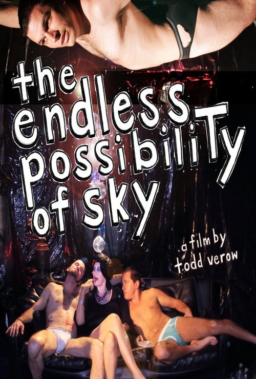 Movie poster for The Endless Possibility of Sky (2012)