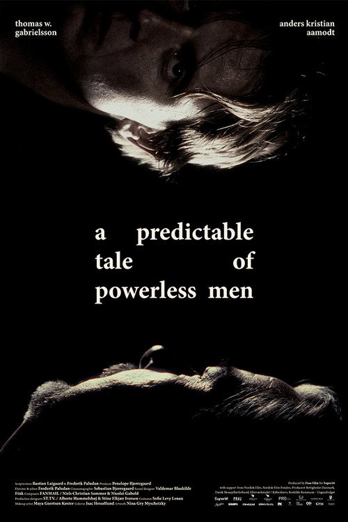 Movie poster for En forudsigelig fortælling om magtesløse mænd (2023)