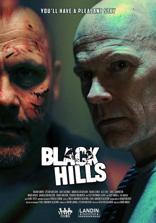 Movie poster for Black Hills (2025)