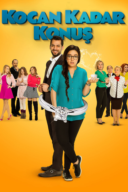 Movie poster for Husband Factor (2015)