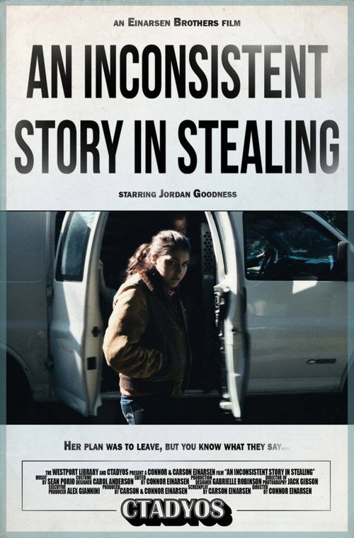 Movie poster for An Inconsistent Story in Stealing (2017)