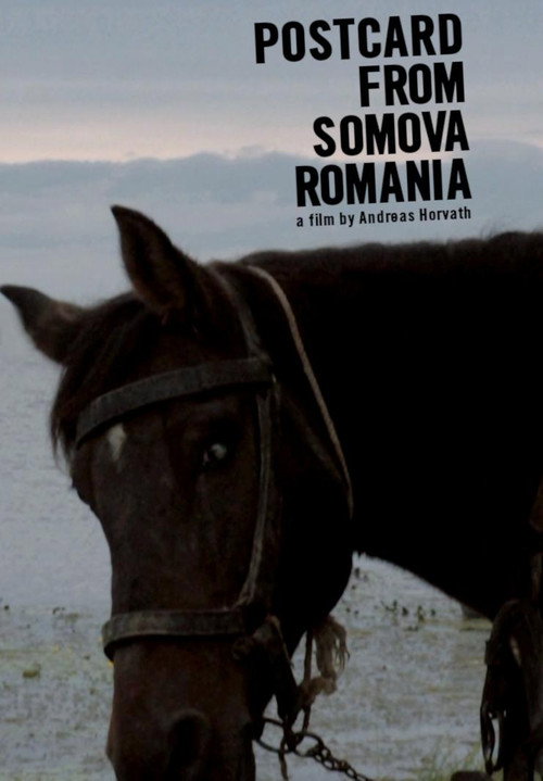 Movie poster for Postcard from Somova, Romania (2012)