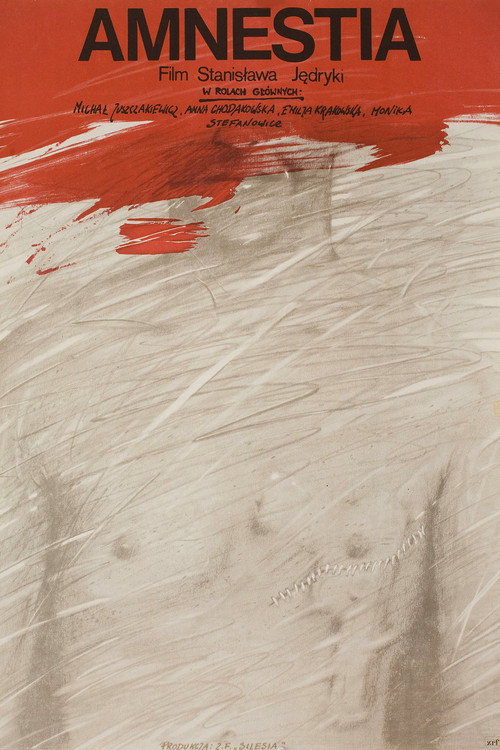 Movie poster for Amnesty (1982)