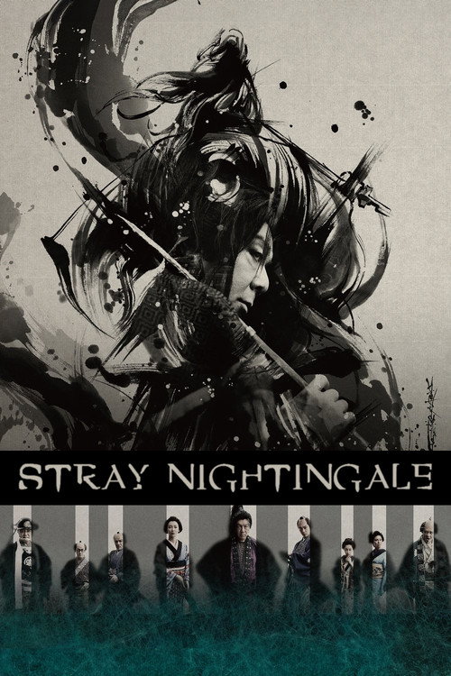 Movie poster for Stray Nightingale (2017)