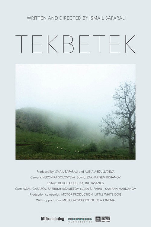 Movie poster for Tekbetek (2014)