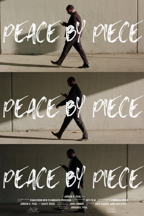 Movie poster for Peace by Piece (2026)