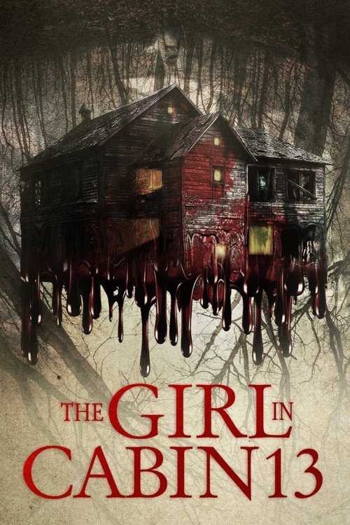 Movie poster for The Girl in Cabin 13 (2021)