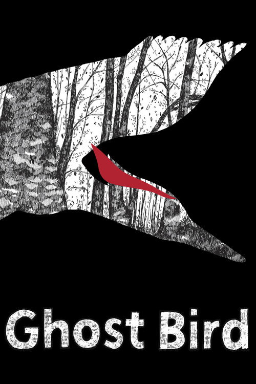 Movie poster for Ghost Bird (2009)
