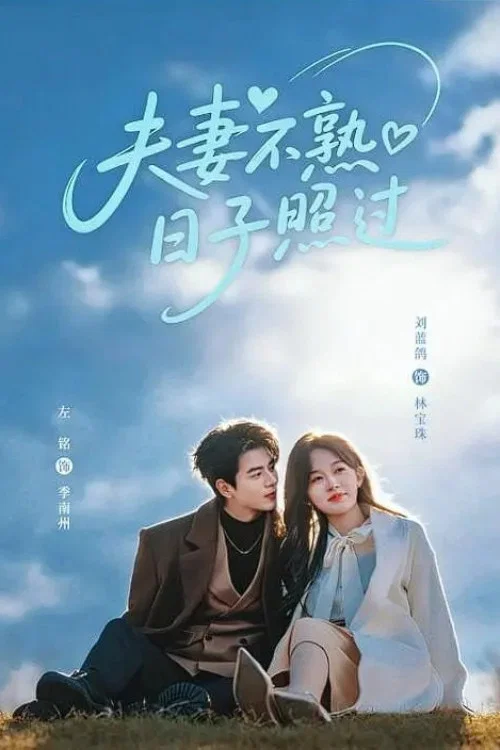 Series poster for 夫妻不熟，日子照过 (2026)