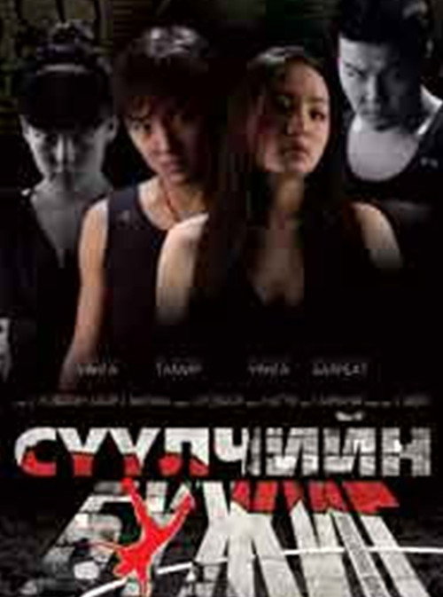 Movie poster for The Last Dance (2009)